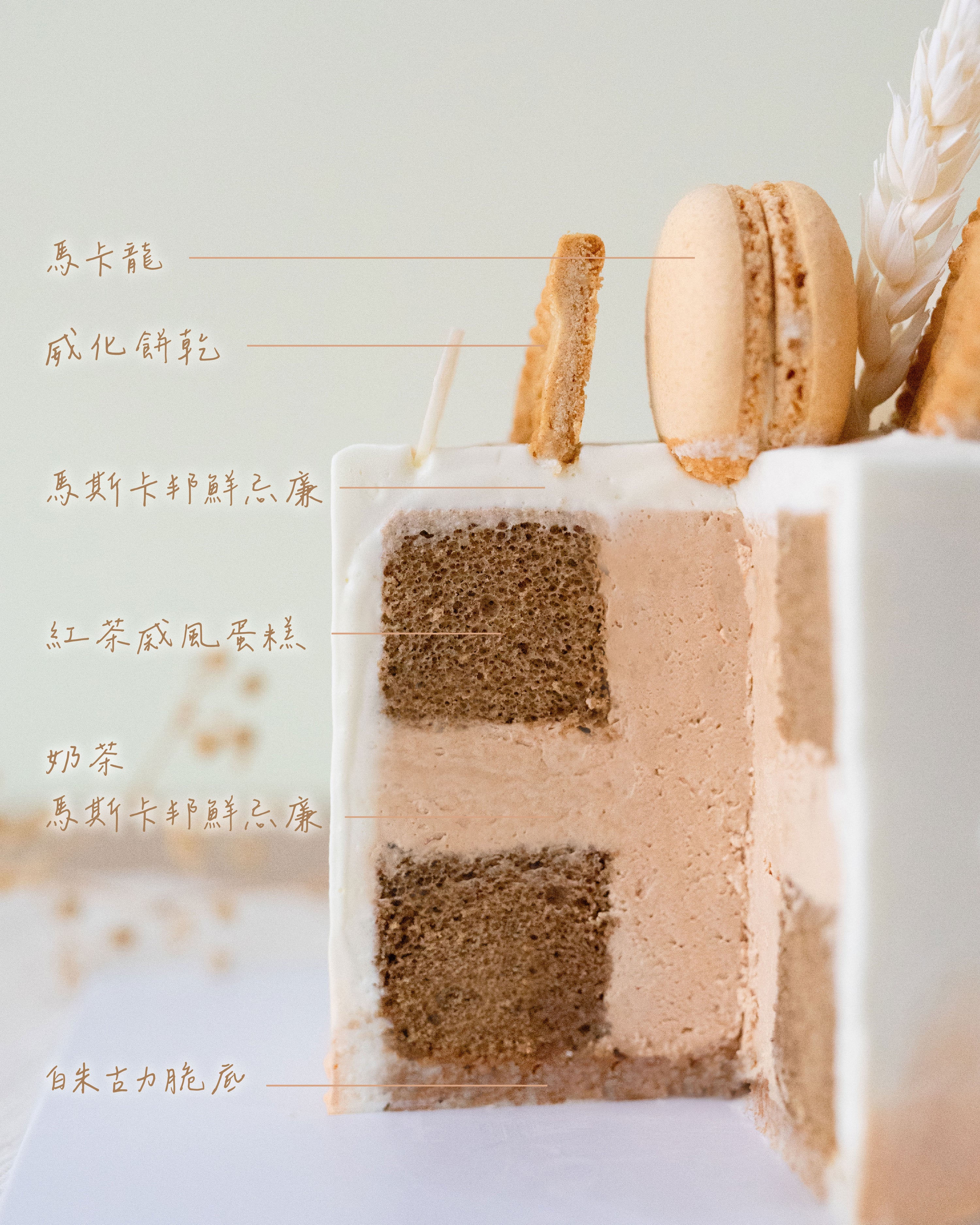 Let's Cha Cha - vive cake boutique